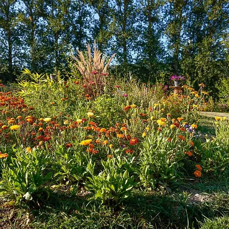 Bed & Breakfast Aux Peupliers Le Malzieu-Ville